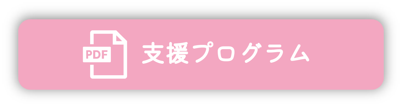 支援プログラム
