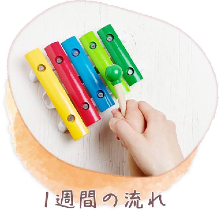 1週間の流れ