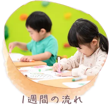 1週間の流れ
