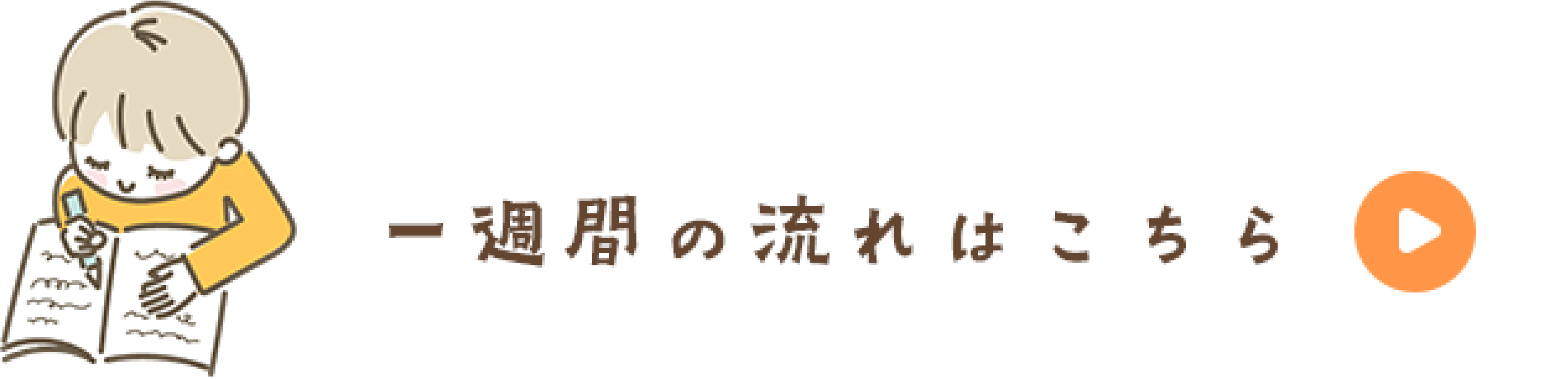 一週間の流れ